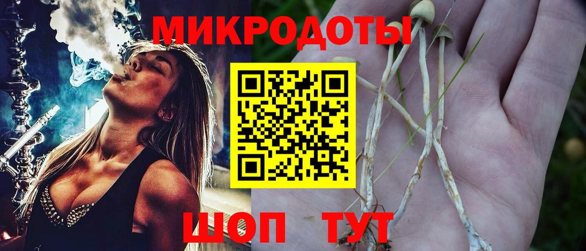 Псилоцибиновые грибы GOLDEN TEACHER Костомукша
