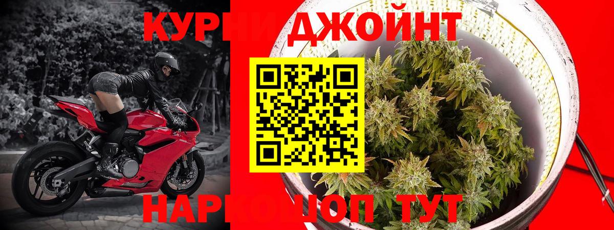 Бошки марихуана SATIVA & INDICA  Вход с VPN  Бошки Шишки планчик  Костомукша  Канабис VHQ 